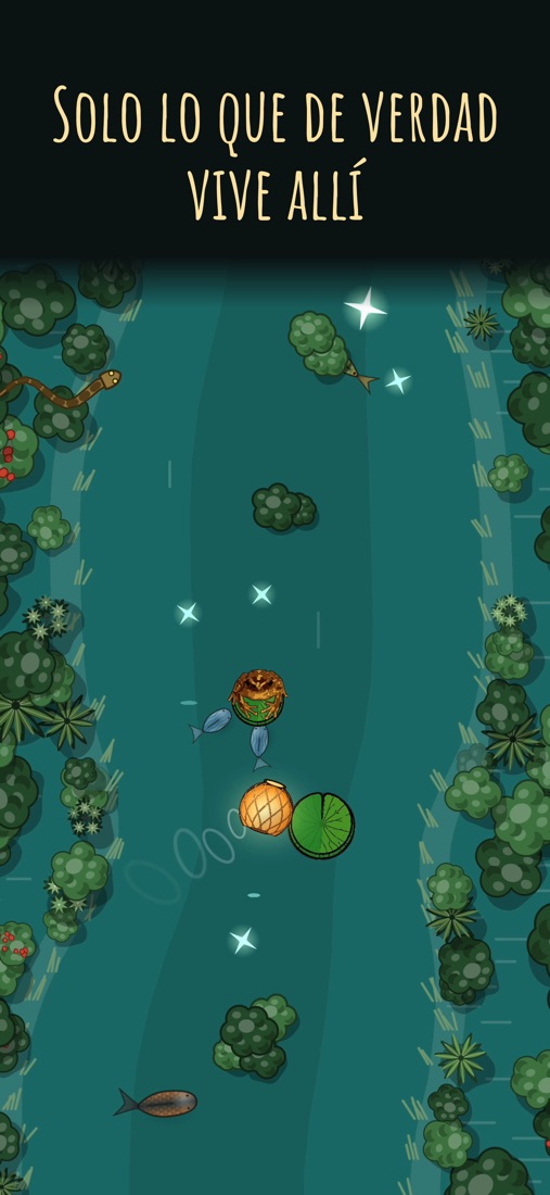 Capturas de Iara: River of Lanterns 4